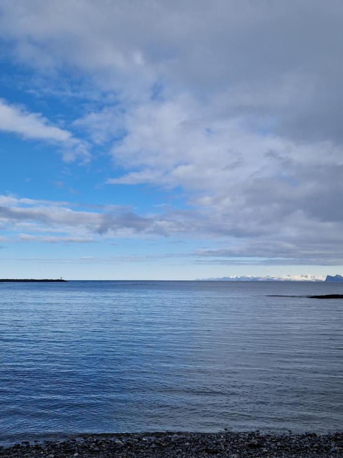 Roligheten Lodge In Andenes Eksteriør bilde