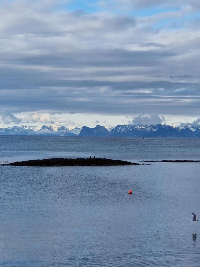 Roligheten Lodge In Andenes Eksteriør bilde