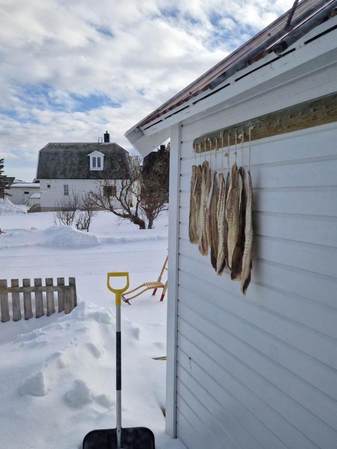 Roligheten Lodge In Andenes Eksteriør bilde