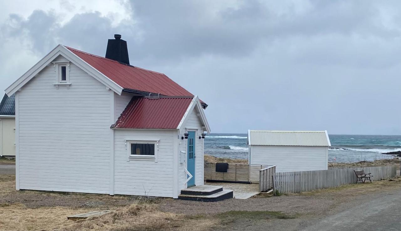 Roligheten Lodge In Andenes Eksteriør bilde